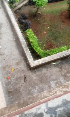 2 - Ganga Sadan Srisailam